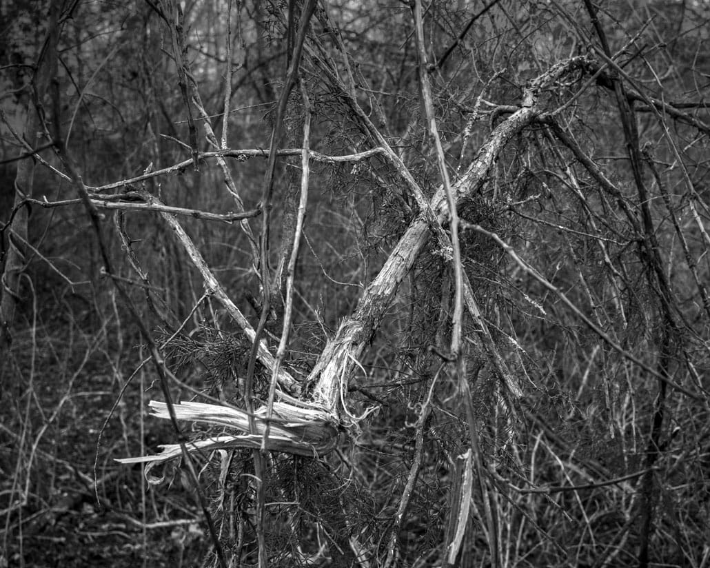 Jan. ’26 selection