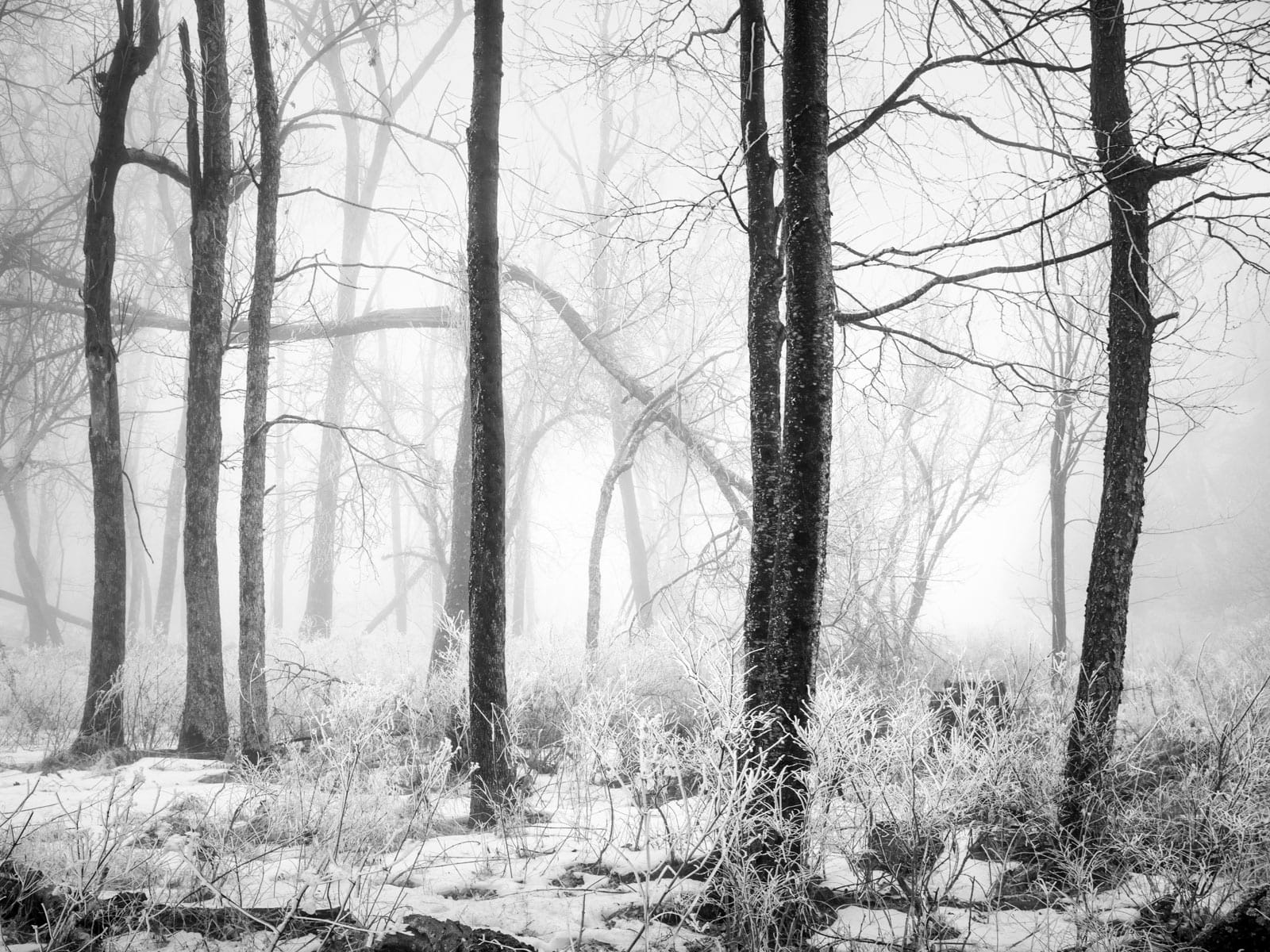 Landscape Photography